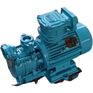 Flame Proof Pump Manufacturers in Mumbai
