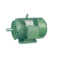 TEFC Induction Motor Manufacturers in Nanded
